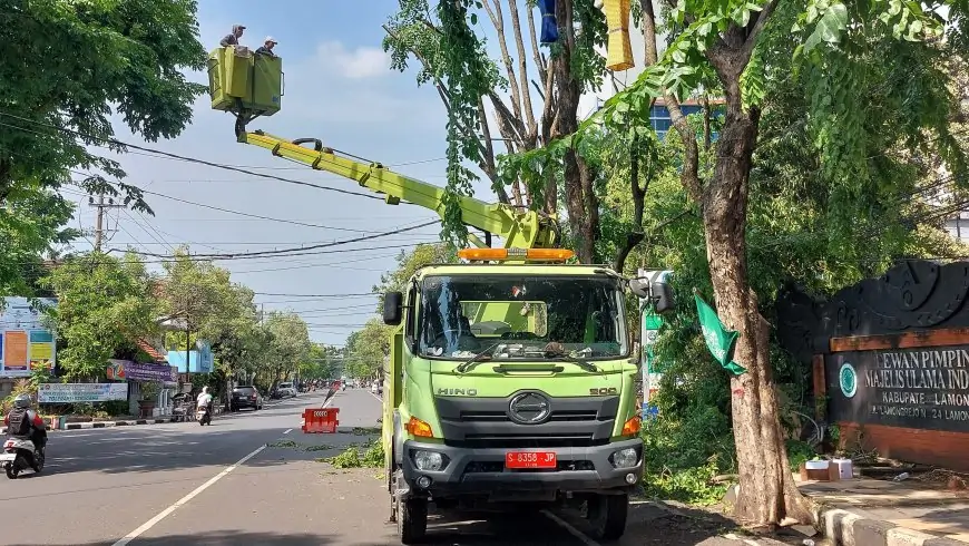 Usai Diterjang Puting Beliung, Pemkab Lamongan Tebang Pohon Rawan Tumbang