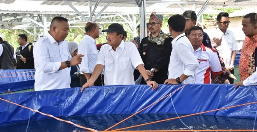 Situbondo Ditunjuk Jadi Kampung Lobster Nasional, Pemerintah Siapkan Pilot Project Budidaya Terpadu