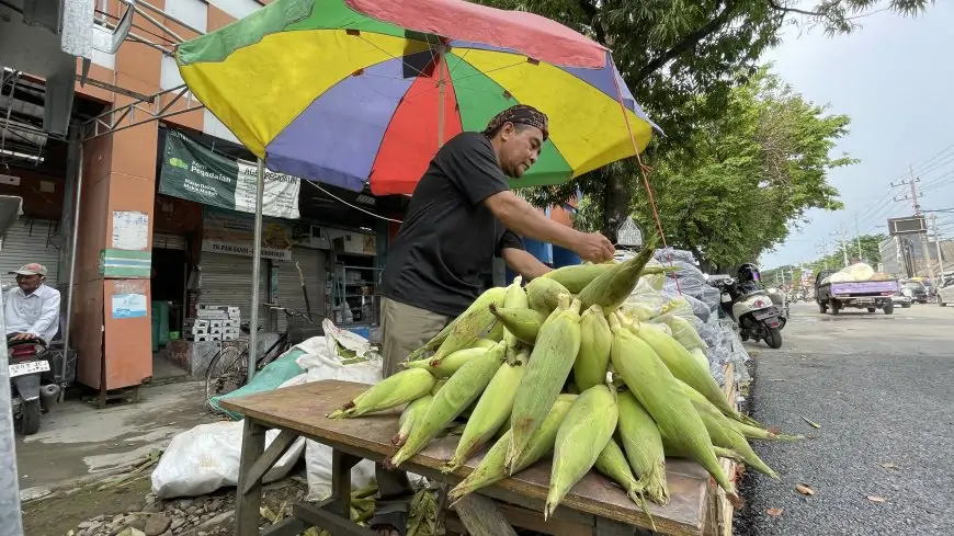 Pedagang Arang dan Jagung Dadakan di Lamongan Raup Berkah Jelang Malam Tahun Baru
