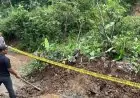 Hujan Deras Picu Tanah Longsor di Dongko Trenggalek, Polisi Pasang Garis Pengaman