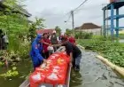 LSM Cakrawala Lamongan Kirim 700 Nasi Kotak Bagi Warga Terdampak Banjir Bengawan Jero