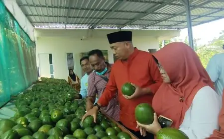 Disulap dari Lahan Terdampak Banjir, Sampean Green Farm Bikin Bupati Situbondo Terpukau