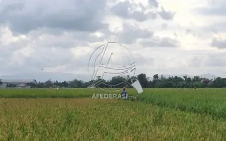 Surplus 94 Ribu Ton, Beras Tulungagung Aman Setahun