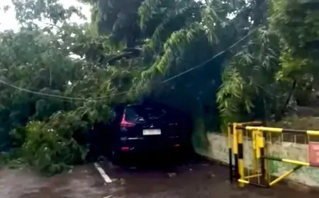 Cuaca Ekstrem di Gresik, Tiang Listrik dan Pohon Tumbang Timpa Mobil