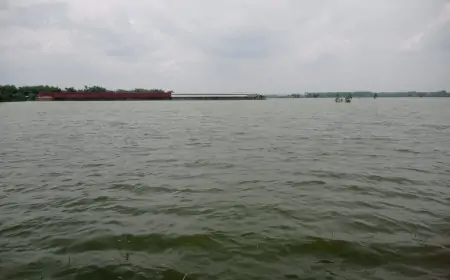 Banjir Rendam Ratusan Hektare Sawah, Petani Khawatir Gagal Panen