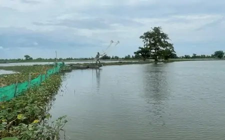 31 Ribu Hektare Lahan Pertanian di Lamongan Terendam Banjir