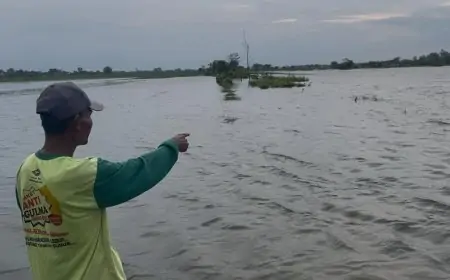 Banjir Rendam 17 Hektare Sawah di Jombang 
