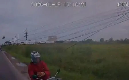 Aksi Nekat ASN Gresik Lempar Batu Bus Trans Jatim, Ternyata Ini Motifnya