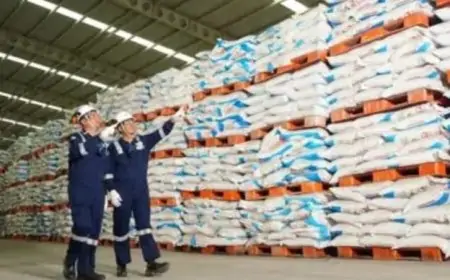 Sejahterakan Pembudidaya Ikan, HET Pupuk Bersubsidi Perikanan di Gresik Turun Harga