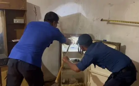 Damkar Lamongan Evakuasi Ular Kobra Sembunyi di Dalam Kulkas