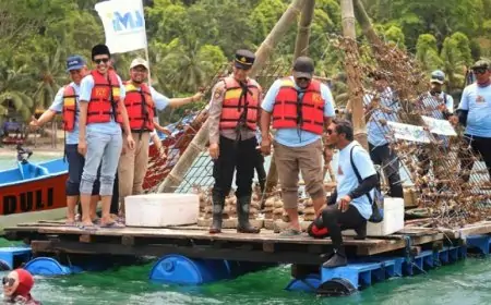Sinergi Pemkab Trenggalek dan Pelindo, Rehabilitasi 2.273 Terumbu Karang di Pantai Mutiara