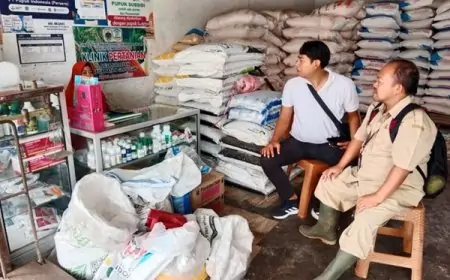 Ketersediaan Pupuk 2026 di Bondowoso Dipastikan Aman 