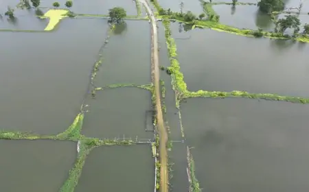 Tak Kunjung Surut, 7.155 Hektar Tambak di Lamongan Terendam Banjir Bengawan Jero