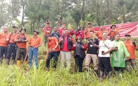 Gerimis Tak Surutkan PDI Perjuangan Tanam Pohon di Lereng Gunung Piramid