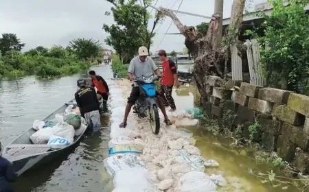 Manfaatkan Karung, Pemuda di Lamongan Bangun Jalan Setapak di Lokasi Banjir