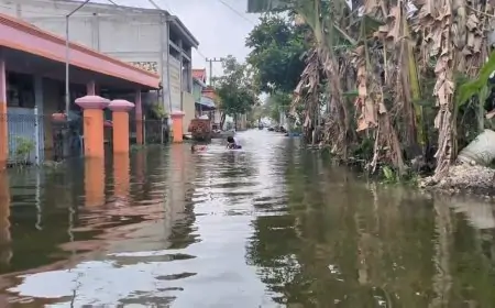 45 Desa di Lamongan Masih Terendam Banjir Bengawan Jero, 1.760 Meter Jalan Rusak