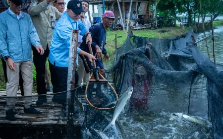 Kunjungi Kampung Bandeng Gresik, Menko Zulhas Dorong Potensi Perikanan Lokal