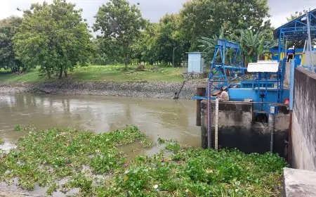 Debit Air Bengawan Jero Lamongan Mulai Surut di Penghujung Januari 2026