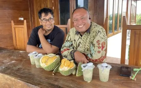 Nikmatnya Es Batil Durian Black Thorn di Kebun Perkasa Farm Lamongan