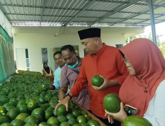 Disulap dari Lahan Terdampak Banjir, Sampean Green Farm Bikin Bupati Situbondo Terpukau