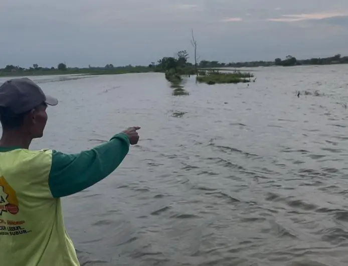Banjir Rendam 17 Hektare Sawah di Jombang 