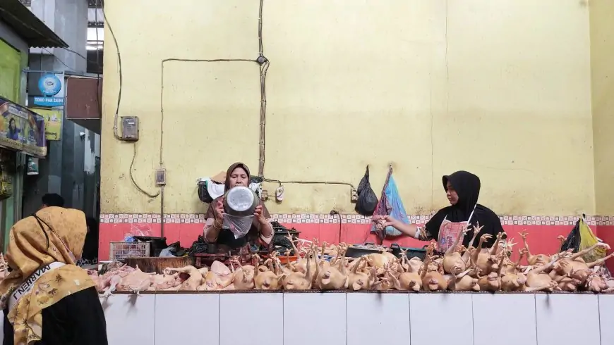 Awal Tahun Daging Ayam di Lamongan Naik, Pedagang Keluhkan Sepinya Pembeli