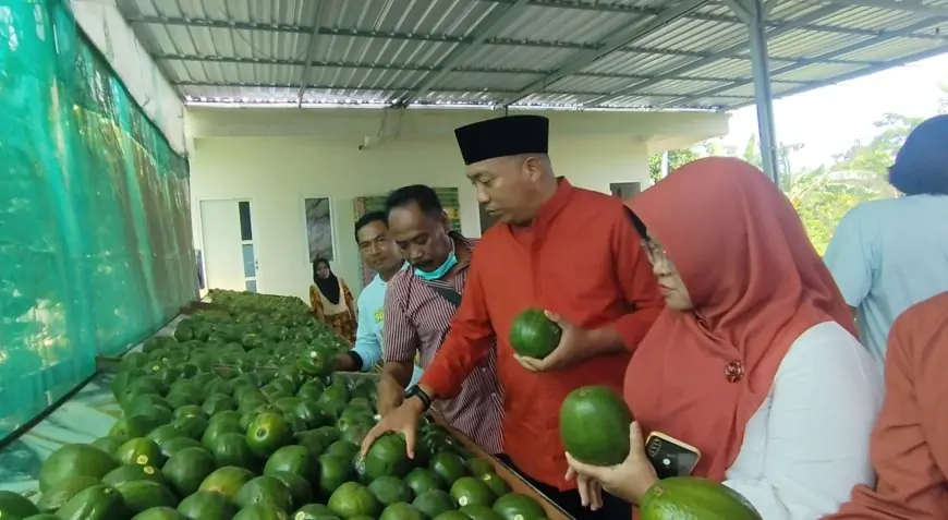 Disulap dari Lahan Terdampak Banjir, Sampean Green Farm Bikin Bupati Situbondo Terpukau
