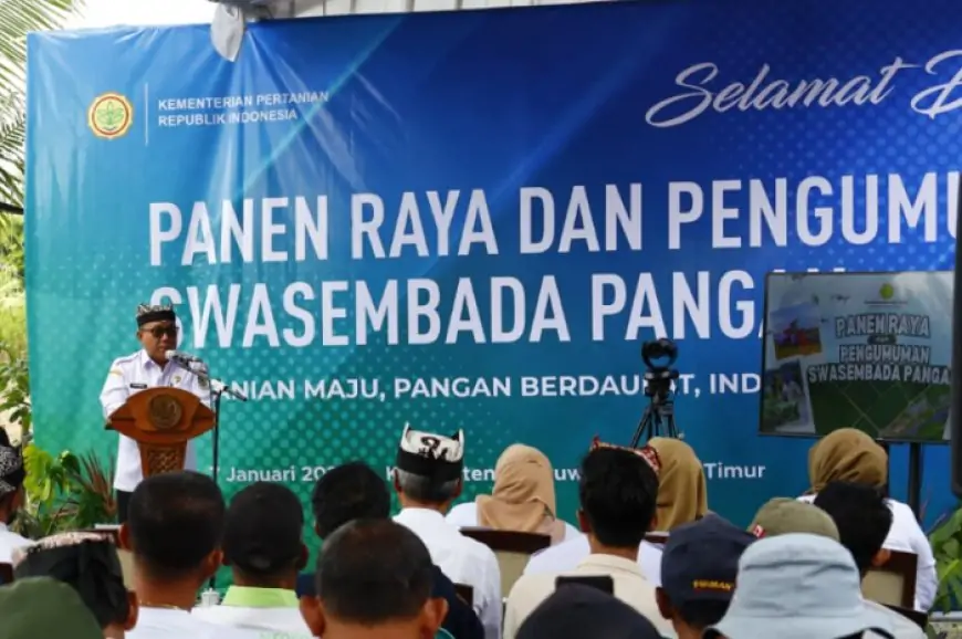 Banyuwangi Sumbang Surplus Ratusan Ribu Ton, Perkuat Swasembada Pangan Nasional