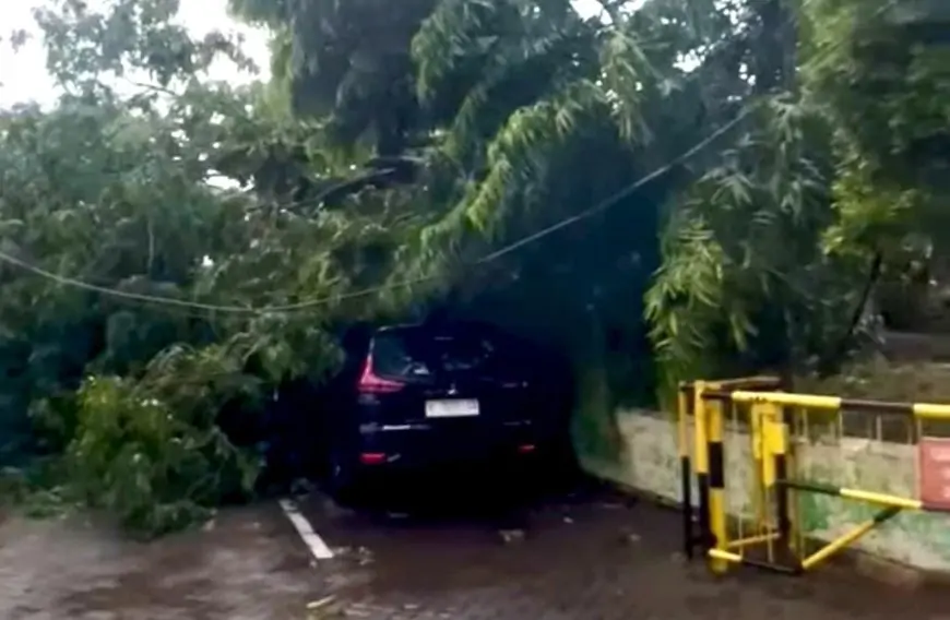 Cuaca Ekstrem di Gresik, Tiang Listrik dan Pohon Tumbang Timpa Mobil
