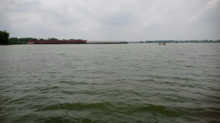 Banjir Rendam Ratusan Hektare Sawah, Petani Khawatir Gagal Panen