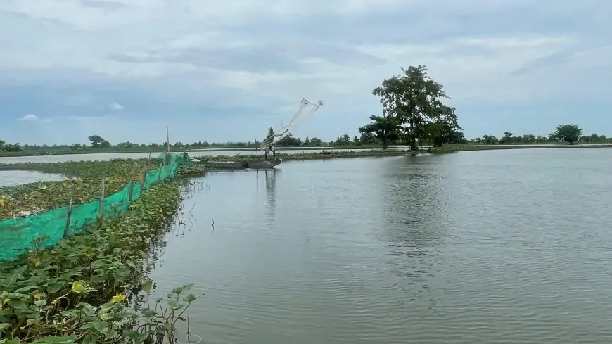 31 Ribu Hektare Lahan Pertanian di Lamongan Terendam Banjir