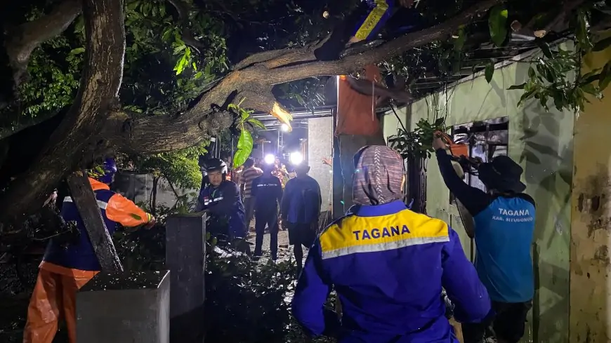 Puting Beliung Porak-porandakan Puluhan Rumah dan Pasar di Situbondo