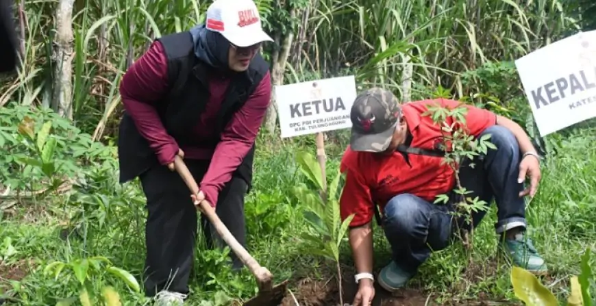 Tanam Pohon Kopi dan Lepas Burung, DPC PDI Perjuangan Tulungagung Rayakan HUT ke-56 dengan Aksi Lingkungan