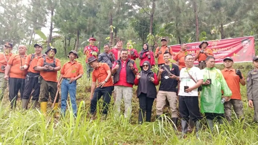 Gerimis Tak Surutkan PDI Perjuangan Tanam Pohon di Lereng Gunung Piramid