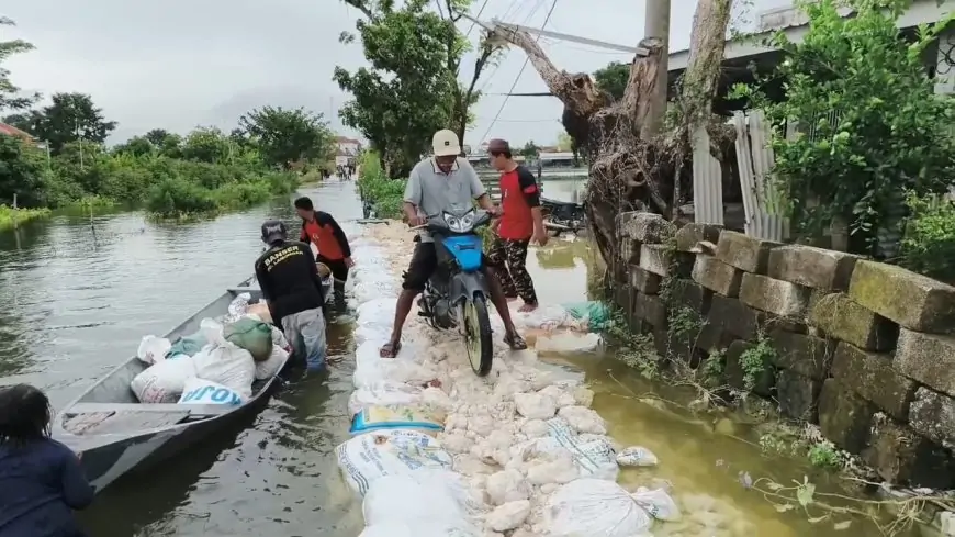 Manfaatkan Karung, Pemuda di Lamongan Bangun Jalan Setapak di Lokasi Banjir