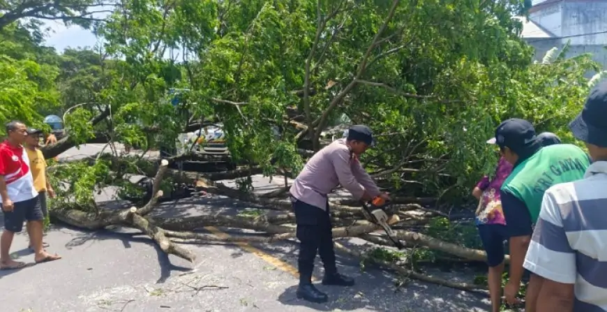 Angin Kencang Terjang Trenggalek, Pohon Tumbang di Delapan Titik Tewaskan Seorang Warga