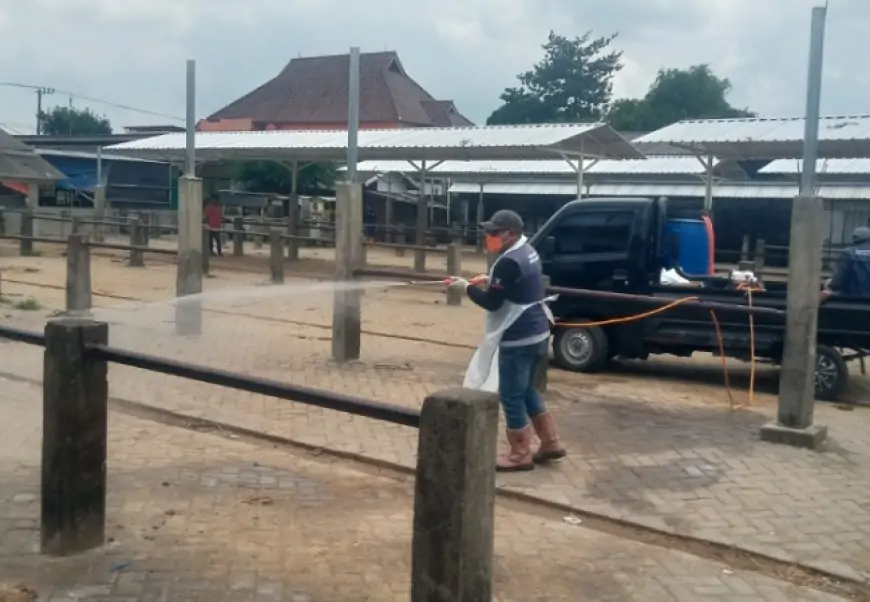 Disnak Jombang Proaktif Antisipasi PMK dengan Vaksinasi dan Penyemprotan Disinfektan