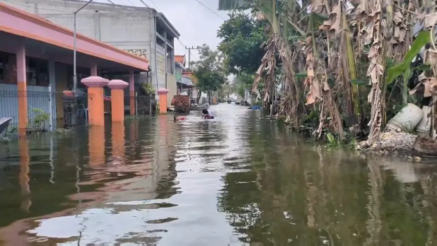 45 Desa di Lamongan Masih Terendam Banjir Bengawan Jero, 1.760 Meter Jalan Rusak