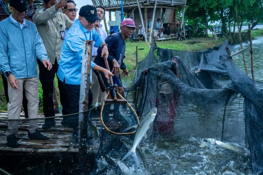 Kunjungi Kampung Bandeng Gresik, Menko Zulhas Dorong Potensi Perikanan Lokal