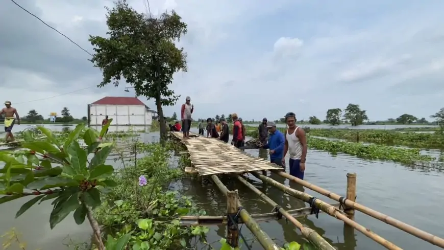 Dua Bulan Terisolir Banjir, Warga Bojoasri Lamongan Bangun Jembatan Bambu Swadaya