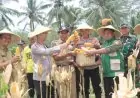 Panen Raya Jagung di Watulimo, Polres Trenggalek Dorong Anak Muda Garap Potensi Pertanian