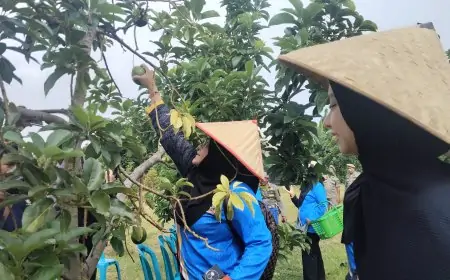 Tindak Lanjuti Lawatan Bupati, Delegasi Brudifa Brunei Jajaki Potensi Bisnis Strategis di Situbondo