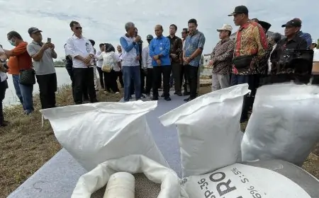 Seret Nama Lamongan, DKPP Telusuri Penjualan Pupuk Subsidi Ilegal ke Ngawi