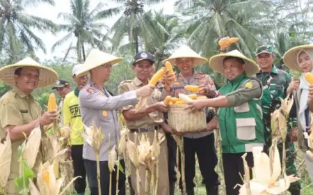 Panen Raya Jagung di Watulimo, Polres Trenggalek Dorong Anak Muda Garap Potensi Pertanian