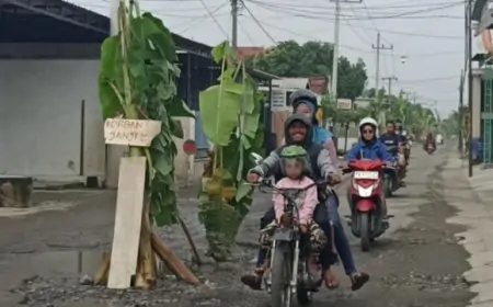 Protes Jalan Rusak Tak Kunjung Dibenahi, Warga Ngunut Tulungagung "Sulap" Aspal Jadi Kebun Pisang
