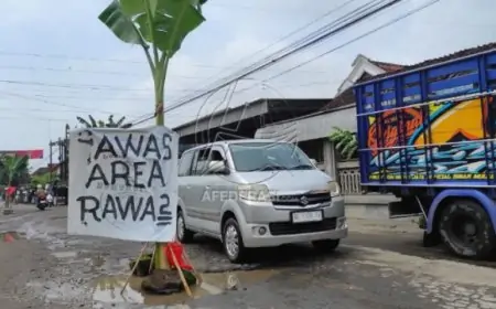 Jengah Hanya Diberi Tambal Sulam, Warga Sambirobyong Tulungagung Sindir Pemerintah Lewat Poster 'Area Rawa'