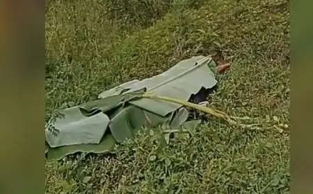 Nahas! Lansia di Babat Tewas Tertabrak KA Sembrani, Diduga tak Dengar Peringatan