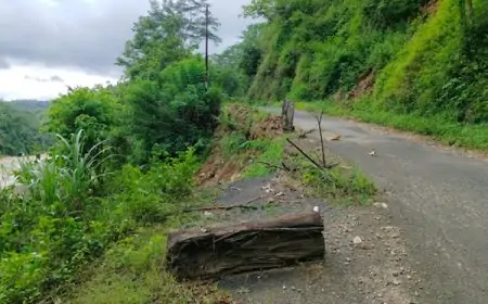 Jalan Penghubung Dua Desa di Pacitan Kian Memburuk, Lubang Menganga di Tengah Jalan