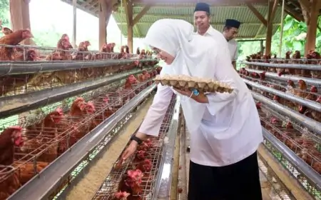 BUMDes Alasbuluh Banyuwangi Sulap Telur Lokal Jadi Senjata Lawan Stunting