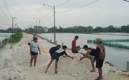 Geram Jalan Desa Rusak Akibat Banjir, Warga Pomahanjanggan Lamongan Patungan Beli Batu Pedel